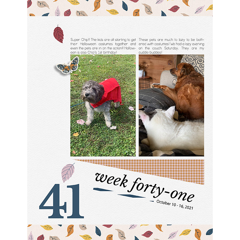Week-41L