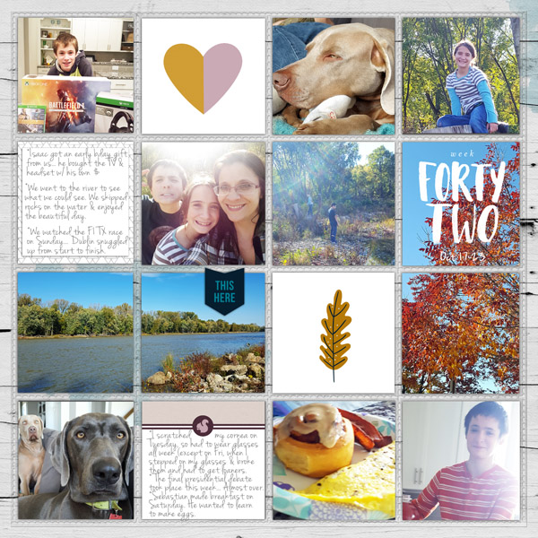 Week 42 2016