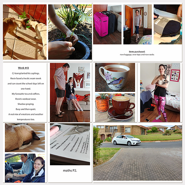 Week#43