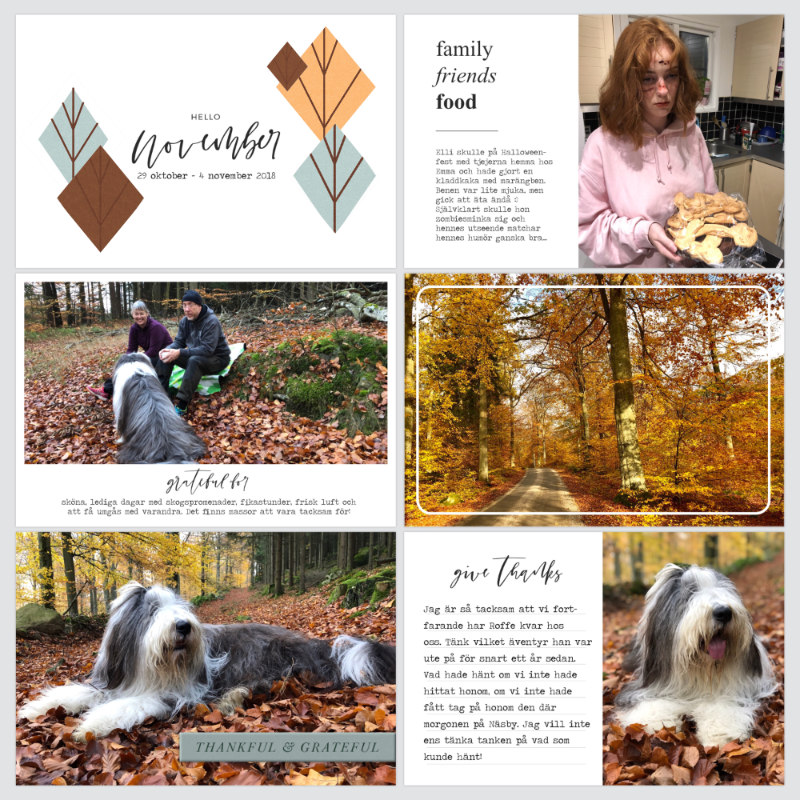 Week 44 2018, page 1