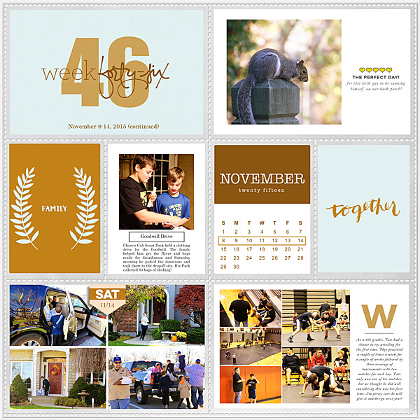 Week-46_-2015-_continued_