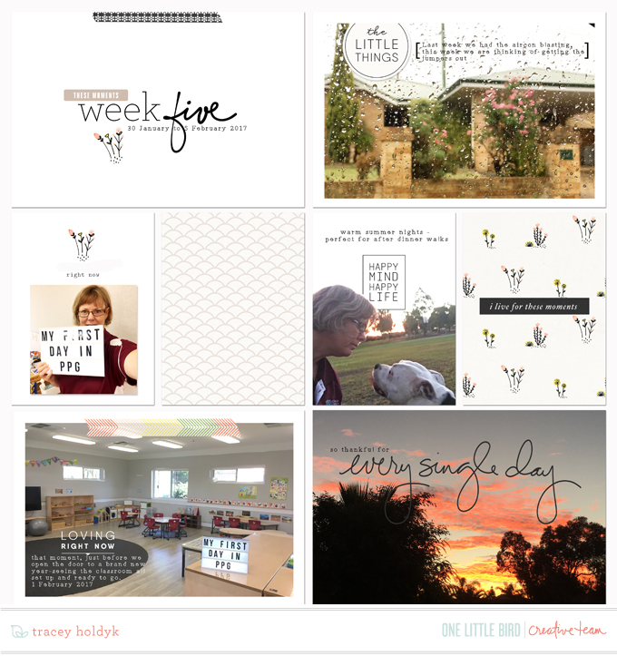 Week 5 Project Life