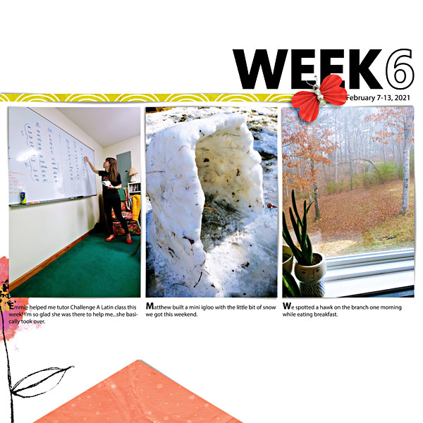 Week 6 {left}