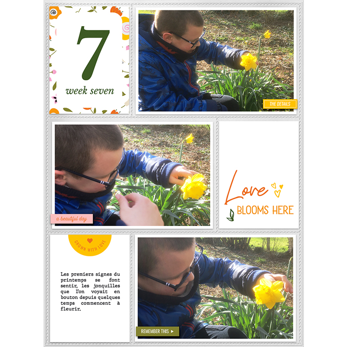 Week 7 Love blooms here