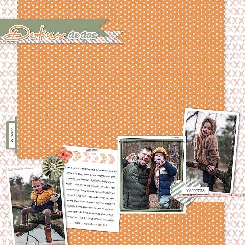 Week 8 - Docus de Das