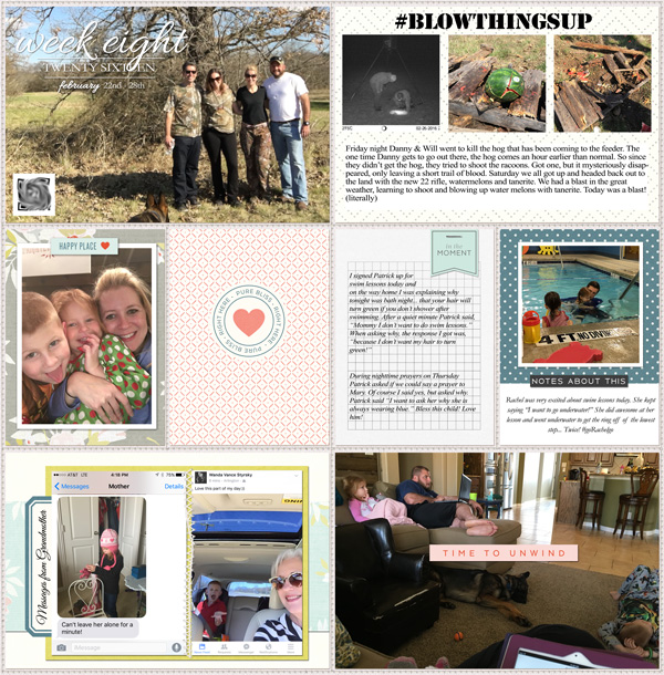 Week 8 Project Life
