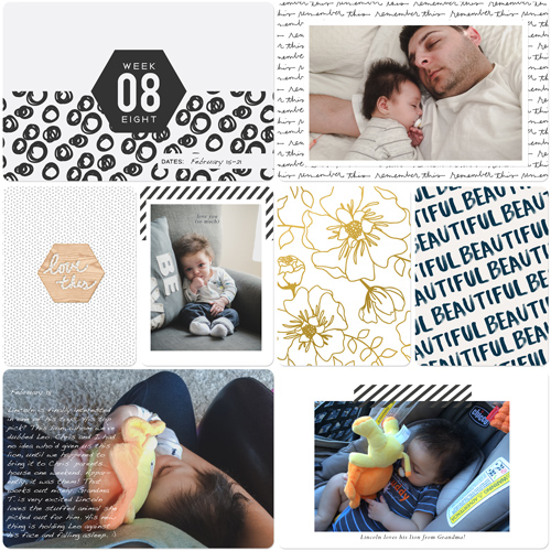 Week-8_February-15A