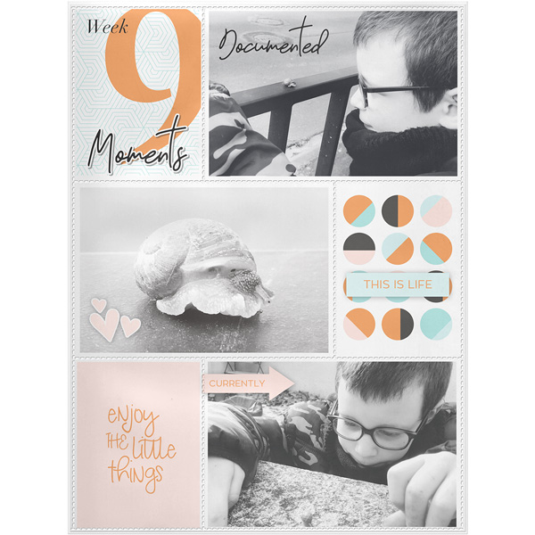 Week 9 - Moments