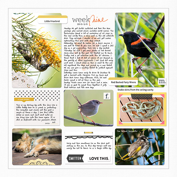 Week 9a