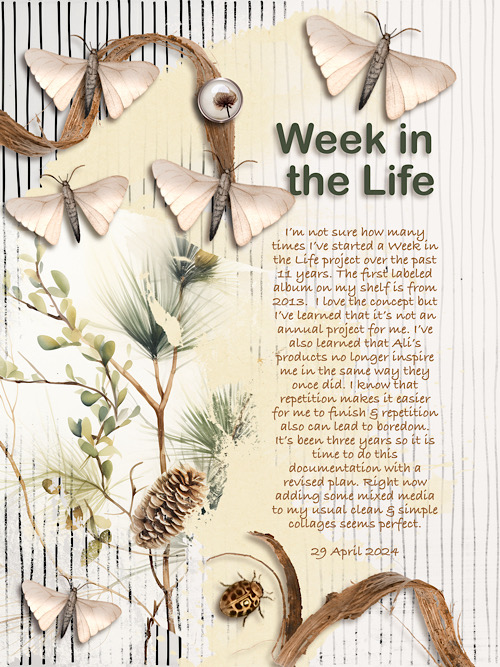 Week in the Life (The Reason Why)
