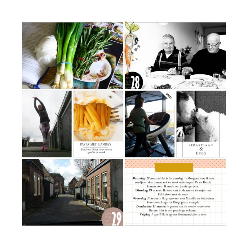 Week13, Links