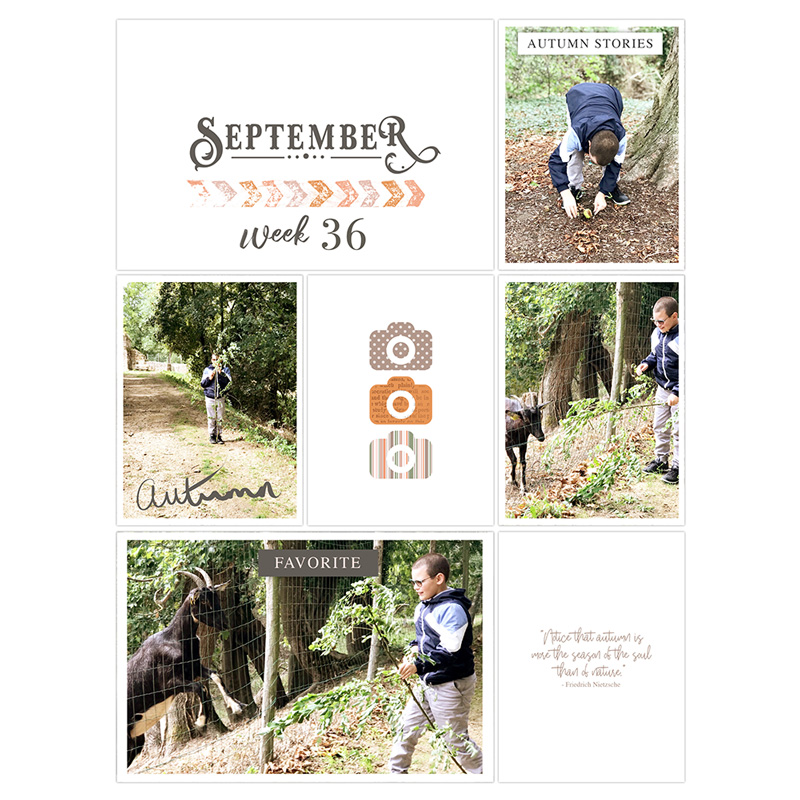 Week36 September