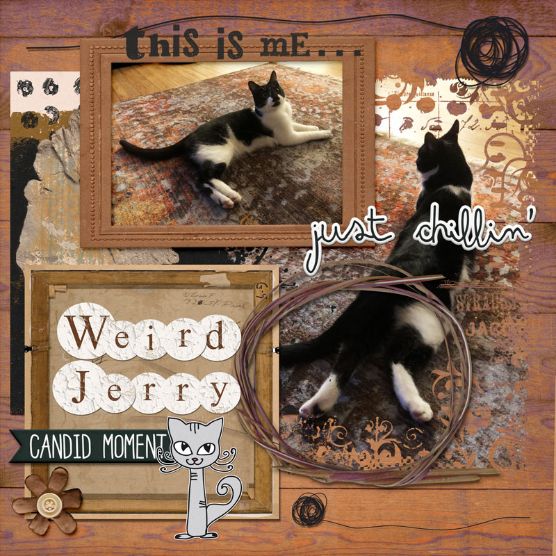 Weird Jerry