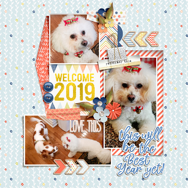 Welcome 2019
