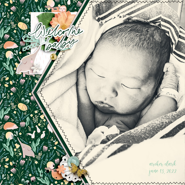 Welcome Baby