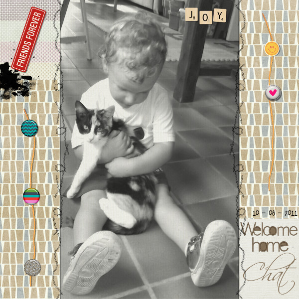 Welcome home Chat
