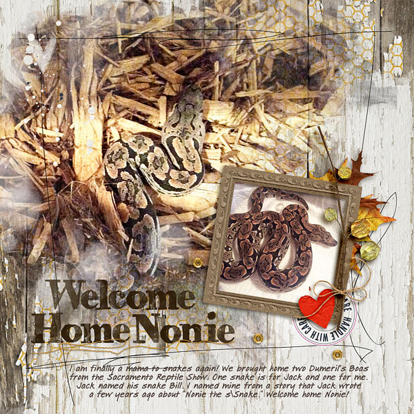Welcome Home Nonie