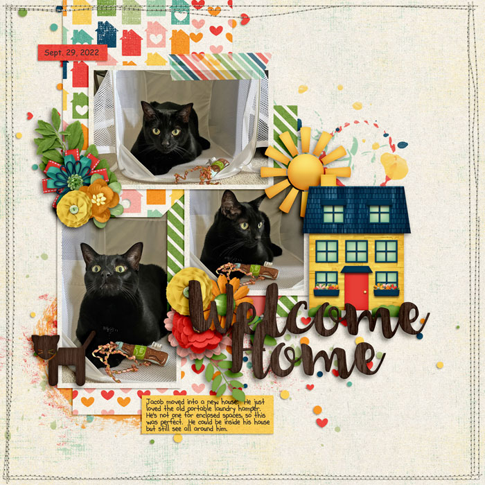 Welcome Home