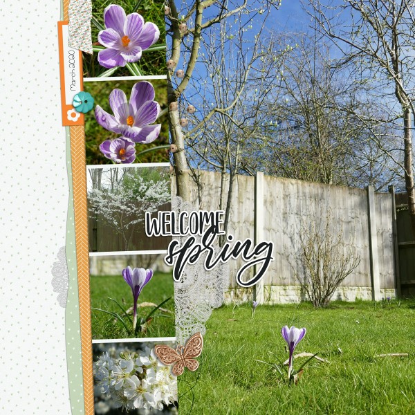 Welcome Spring