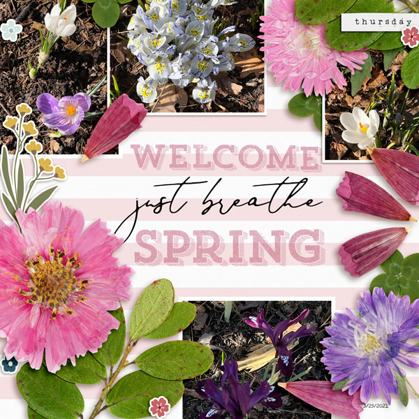 Welcome Spring