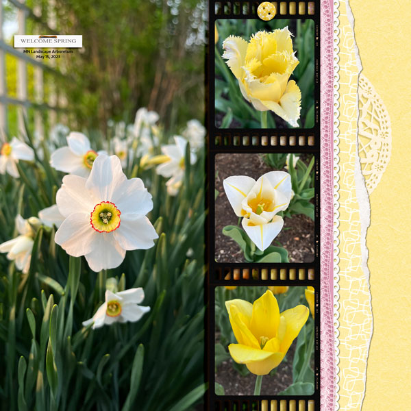 Welcome_Spring