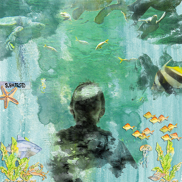Wesley-Seaworld
