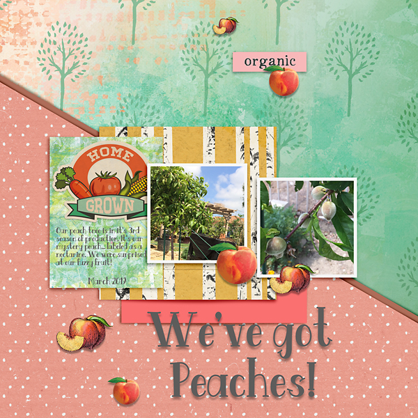 We've Got Peaches