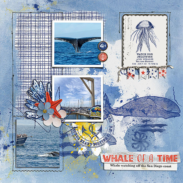 whale of a time