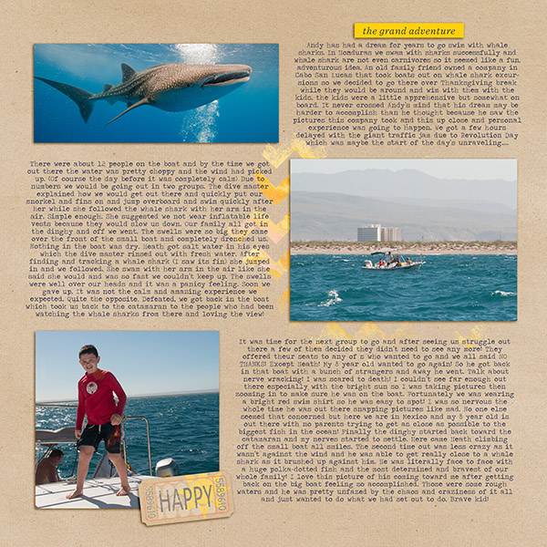 Whale Shark Swim