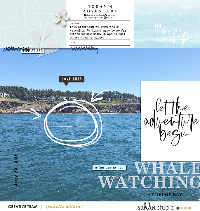 whale watchcing - MOC day 9
