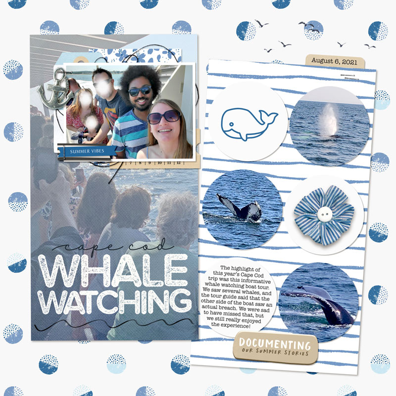 Whale Watching