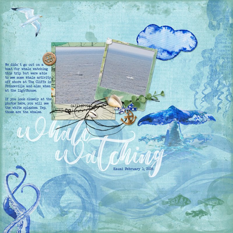 whale-watching