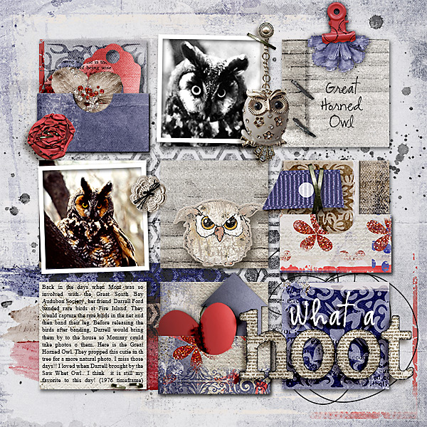 What a HOOT  (Oct. Dawn Inskip's Blog  Challenge)