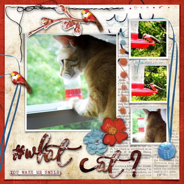What Cat?