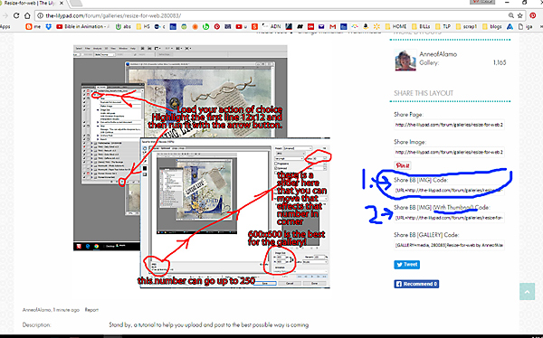 what do I click to get my page in the forum?