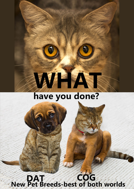 WHAT-have-you-done?