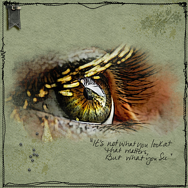 What you see