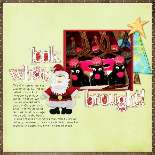 what_santa_brought