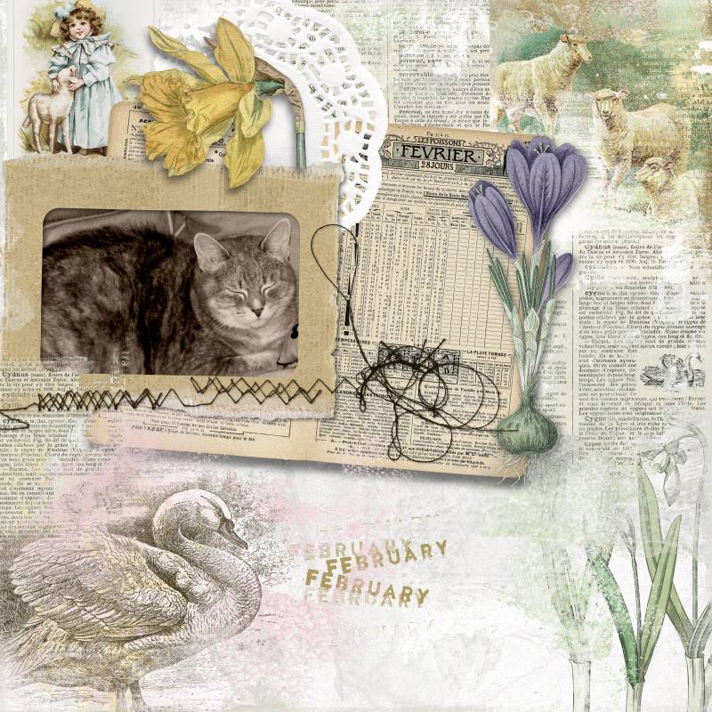 Wheel Of The Year - Imbolc