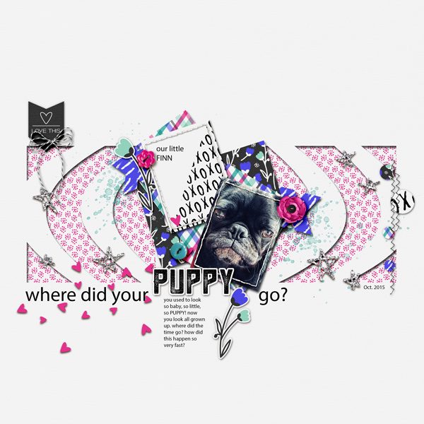 Where did your PUPPY go?