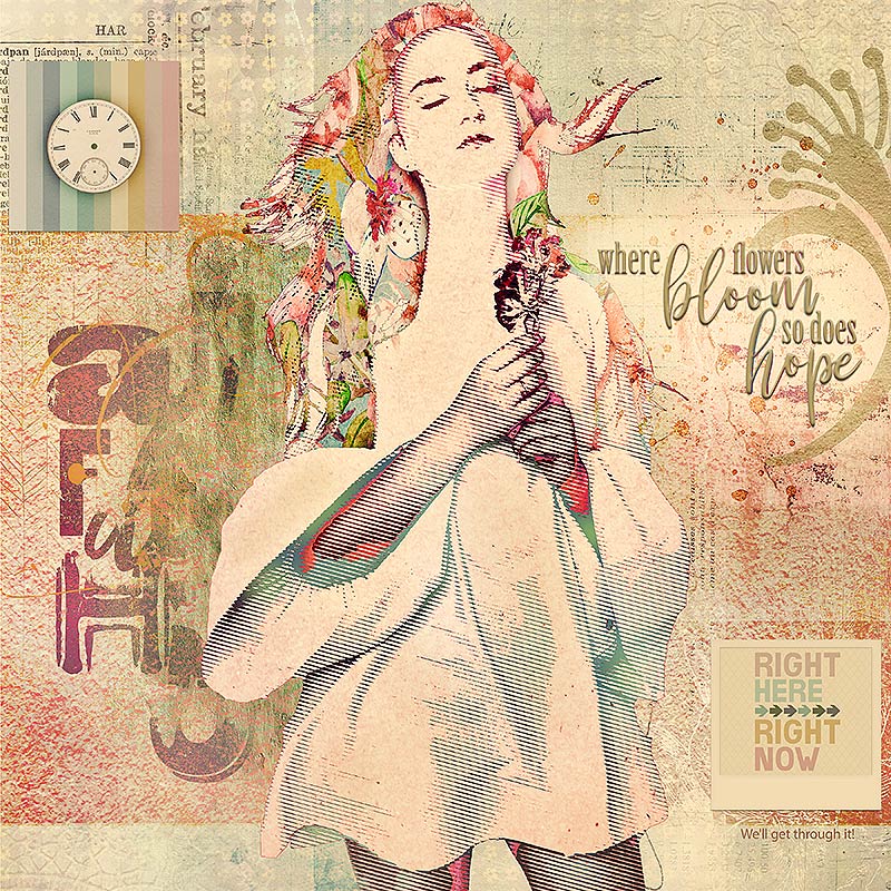 Where flowers bloom