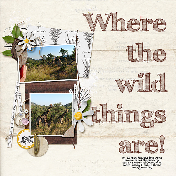 Where-the-wild-things-are