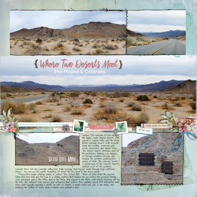 Where Two Deserts Meet