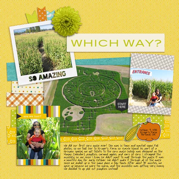Which Way?