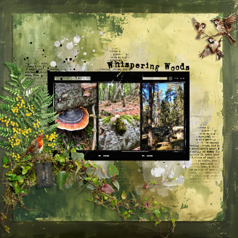 Whispering Woods