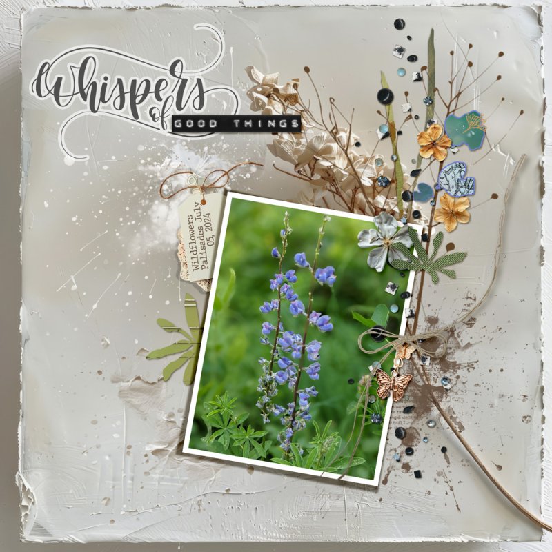 Whispers-of-good-things