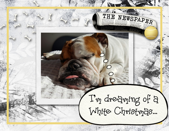 White-Christmas