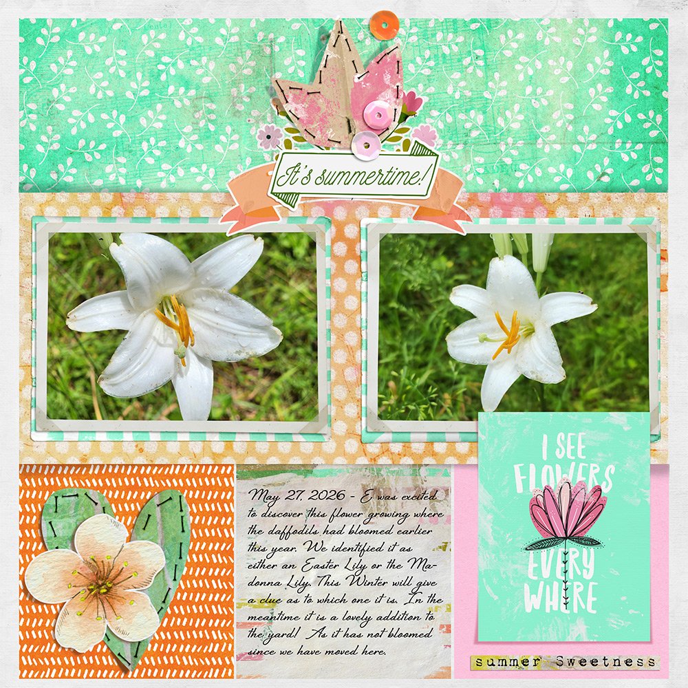 White Lily