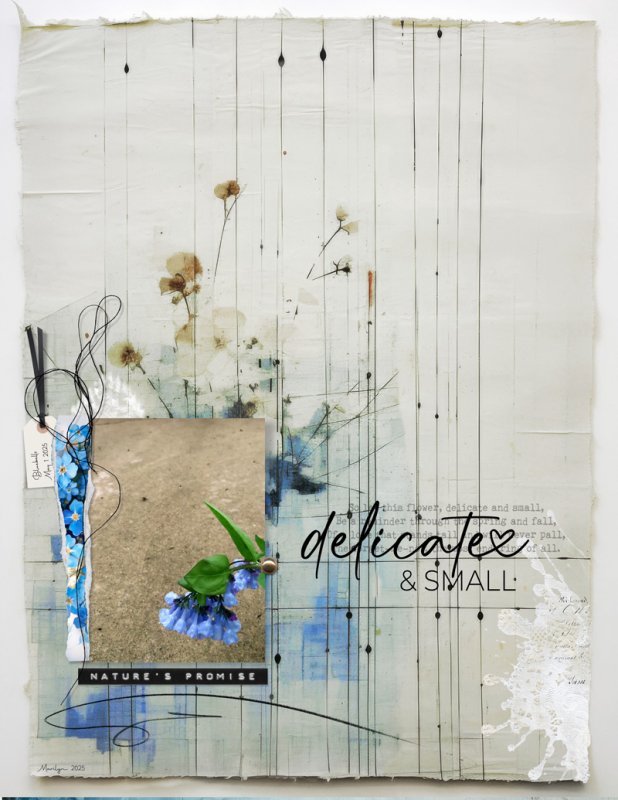 White-Space-Photo