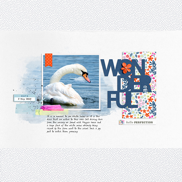 White Swan